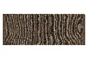 323526_Kopie__58182.webp